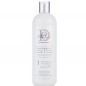 Design Essentials - STS EXPRESS - 1 Cleansing Sulfate-Free Shampoo