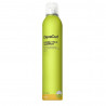 DevaCurl - Flexible Hold Hairspray
