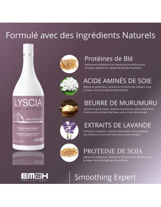 Lyscia DNA System kit 1L