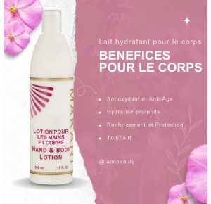 Hand & Body Lotion | Daily Hydration & Softness