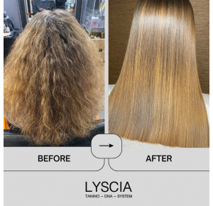 Lyscia DNA System kit 1L