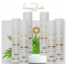 Premium Keratin Caviar - Champú sin sulfatos  6-Pack